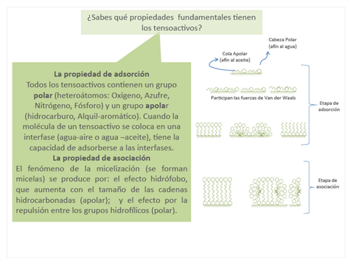 BLOG 2De Surfactantes